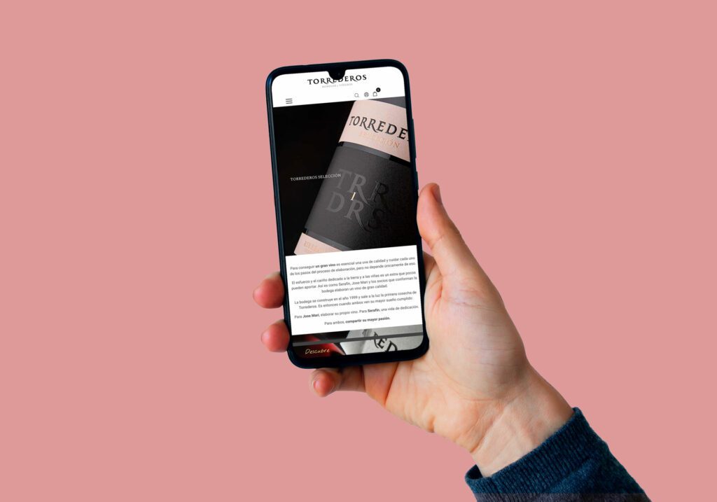 Diseño_desarrollo_web_04