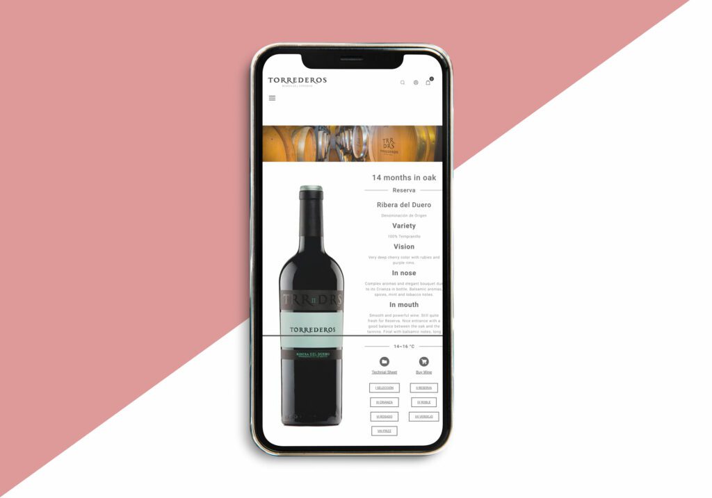 Diseño_desarrollo_web_06
