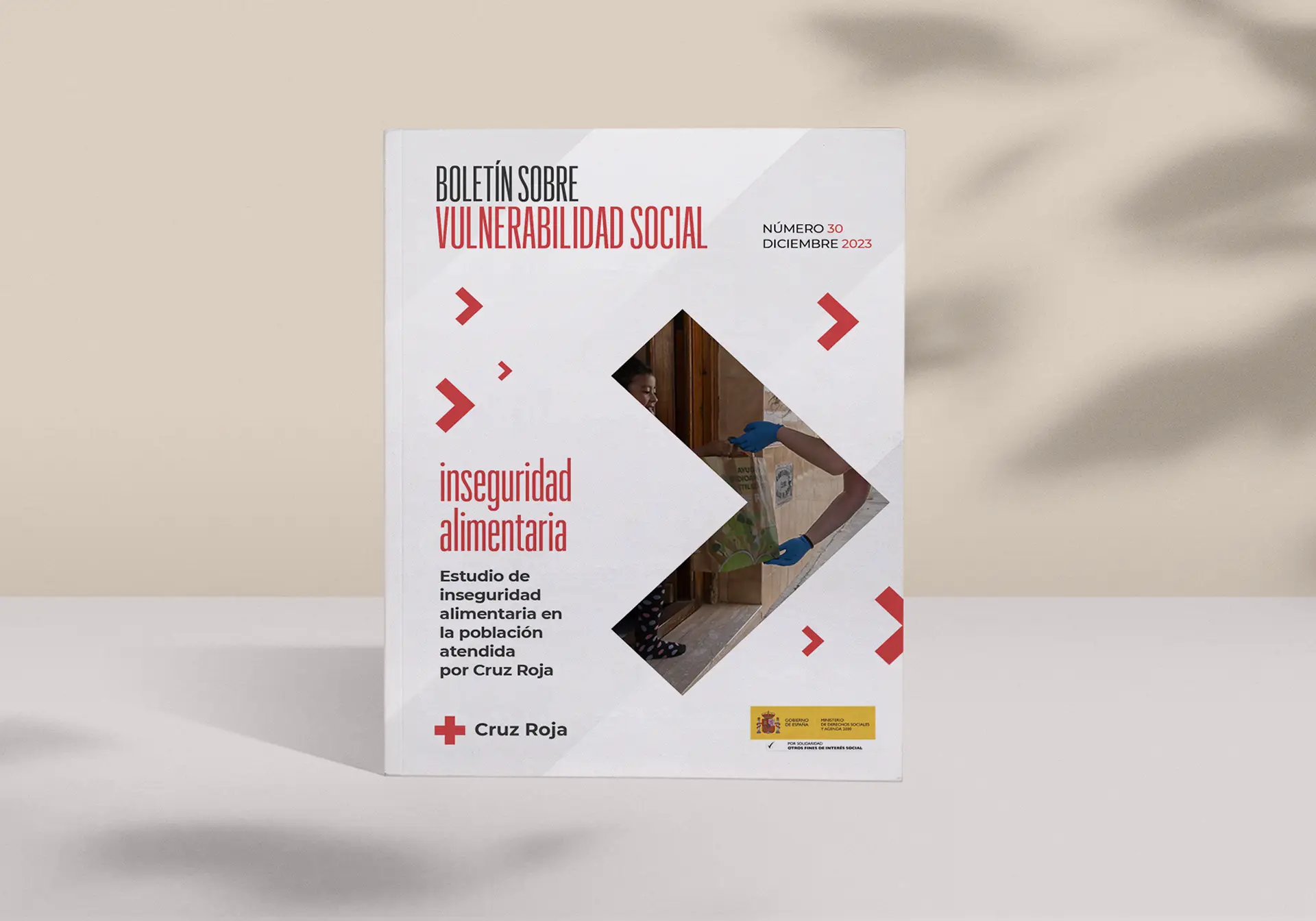 Boletín Cruz Roja mockup 3
