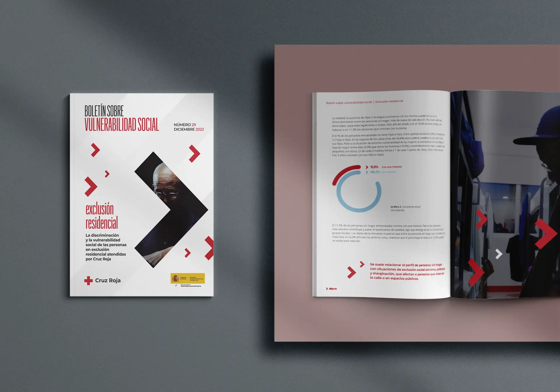 Boletín Cruz Roja mockup